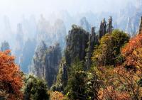 Zhangjiajie National Forest Park Autumn 