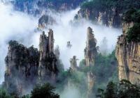 Zhangjiajie National Forest Park in Fog