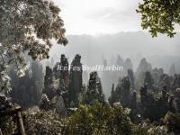 Zhangjiajie National Forest Park