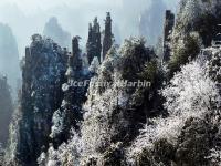 Zhangjiajie National Forest Park