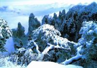 Zhangjiajie National Forest Park in Winter