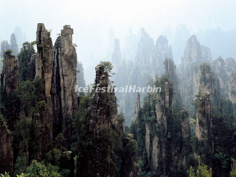 Zhangjiajie National Forest Park