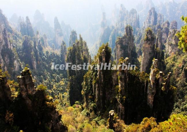 Zhangjiajie National Forest Park in Summer