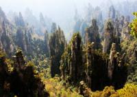 Zhangjiajie National Forest Park in Summer