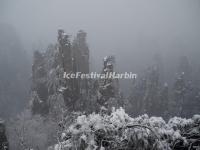 Zhangjiajie National Forest Park