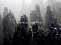 Thw Snowclad Sandstone Peaks in Zhangjiajie National Forest Park