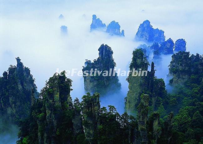 Zhangjiajie National Forest Park Scenery 
