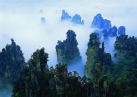 Zhangjiajie National Forest Park Scenery 