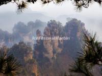 Zhangjiajie National Forest Park Landscape 