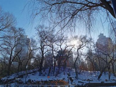 Zhaolin Park Harbin