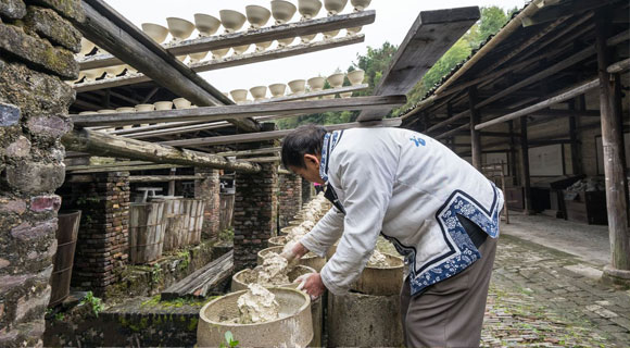 5-Day Huangshan and Jingdezhen Tour