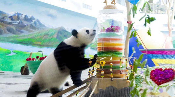 4-Day Harbin Ice Festival Yabuli Panda Ski Tour