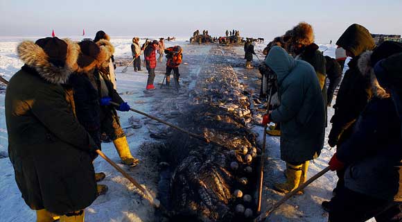 4-day Harbin Ice Festival & Chagan Lake Winter Fishing Tour